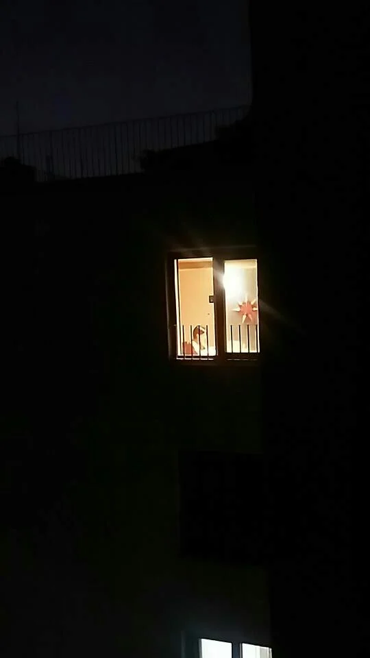 Das Morgengrauen ist meine offizielle Arbeitszeit.